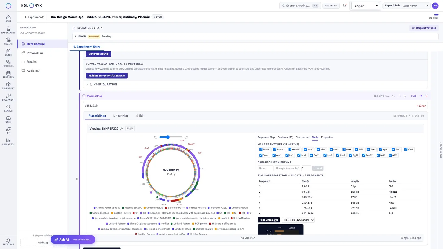 Plasmid map viewer